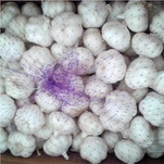 حزمة الثوم السائبة الممتازة