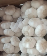 ثوم أبيض نقي، محاصيل جديدة مبردة، مخزن شبكي، علبة كرتون، تحميل إلى أمريكا الجنوبية