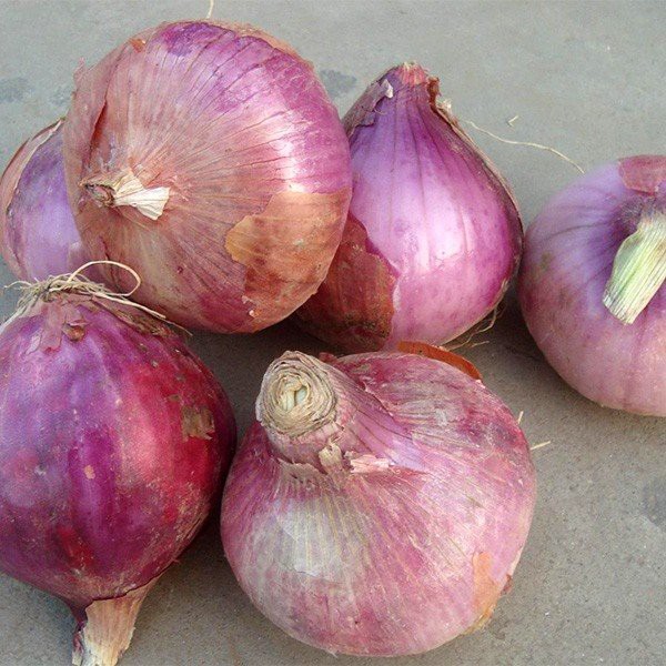 src=http___img003.hc360.cn_y1_M00_B9_8A_wKhQc1R0hPqEZ1csAAAAAKOWi7U379.jpg&refer=http___img003.hc360