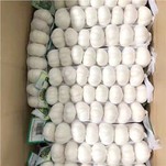 الحجم 5.5 السائبة الثوم الأبيض النقي البيع المباشر